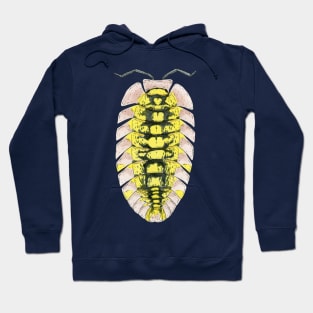 Pyrgoniscus luteus Isopod Hoodie